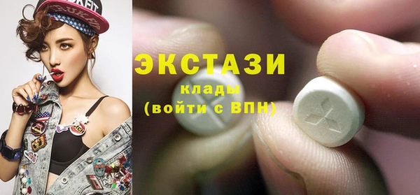 гидра Надым