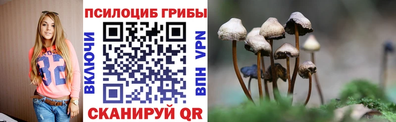 это официальный сайт  Серафимович  Галлюциногенные грибы мухоморы 